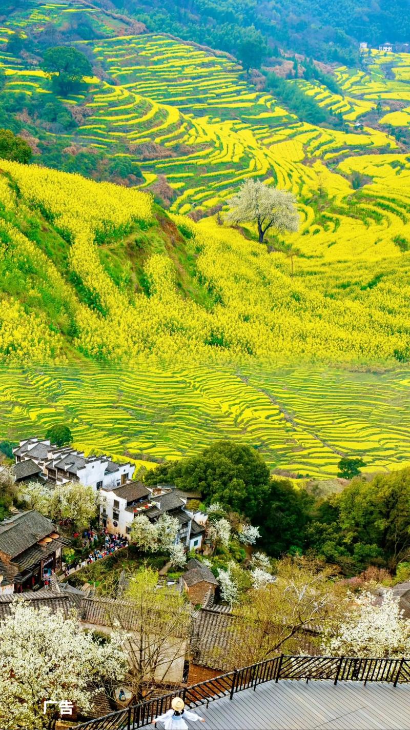 旅游投资:一场财富与梦想的盛宴